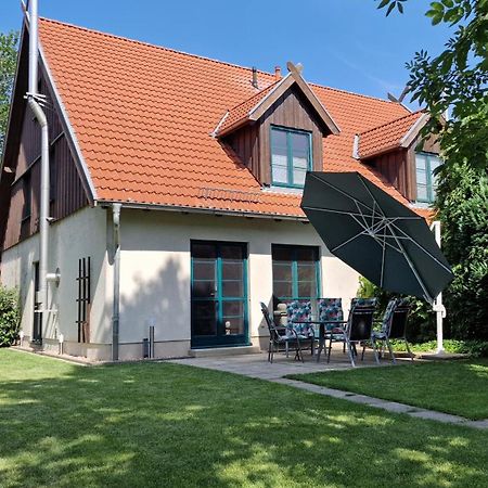 Vila Ferienhaus Hase Burg  Exteriér fotografie