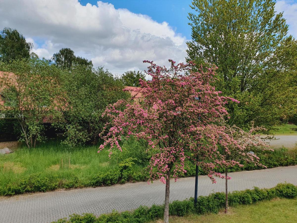 Vila Ferienhaus Hase Burg  Exteriér fotografie