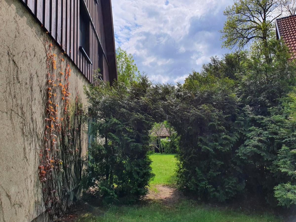 Vila Ferienhaus Hase Burg  Exteriér fotografie